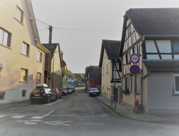 de Goldgeese Rue d’Or -  - rue de Pfulgriesheim